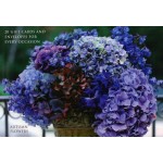 Autumn Flowers Gift Card Pack