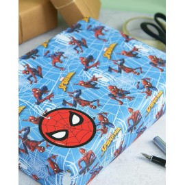 Label Multipack for Him Boys Spider
